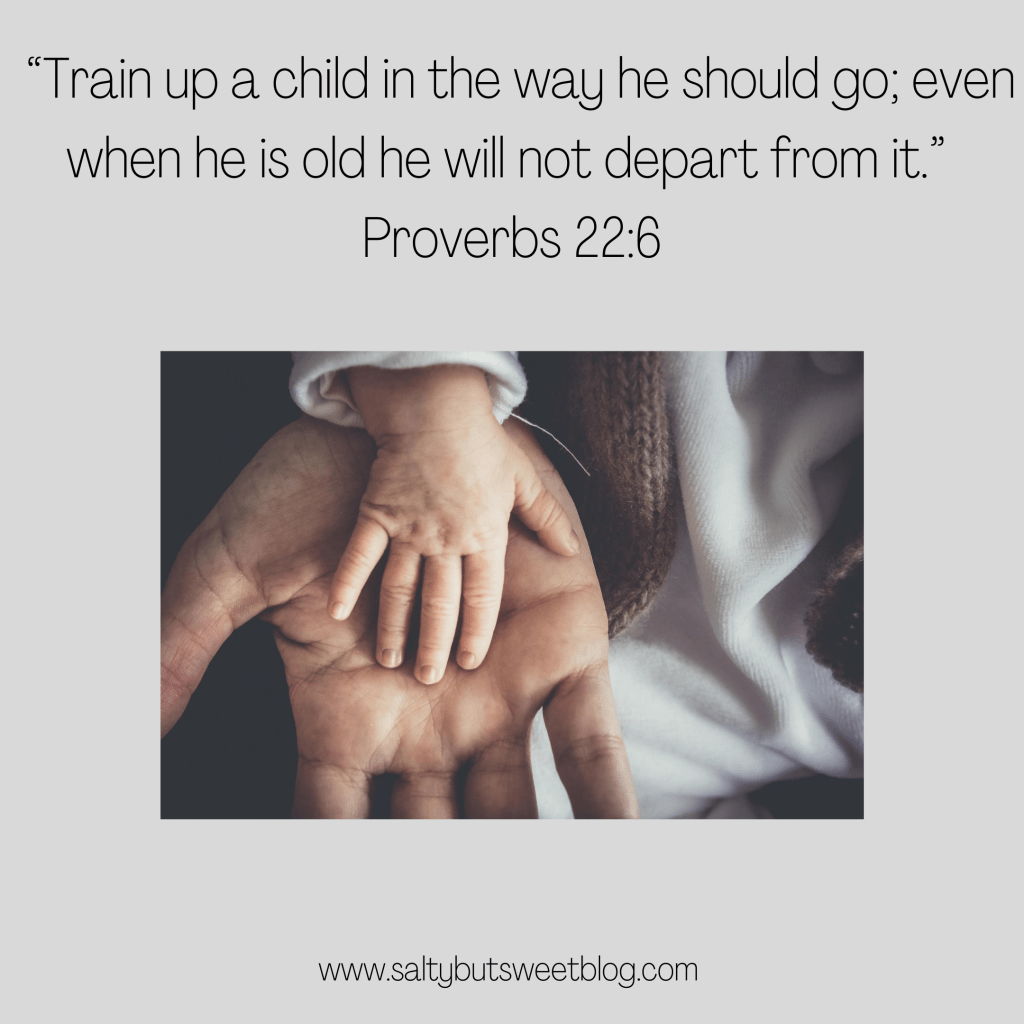 train up a child in the way he should go; proverbs 22:6