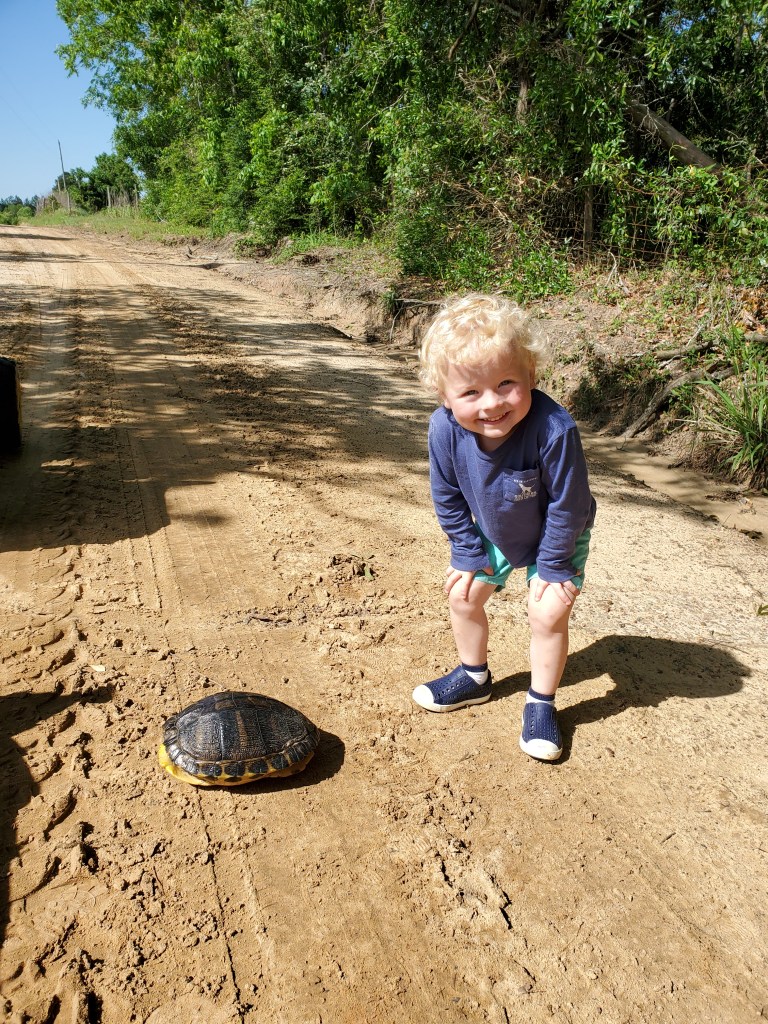 turtle and toddler