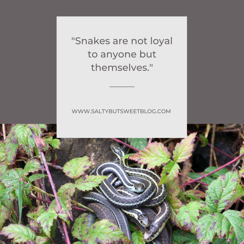 snakes are not loyal