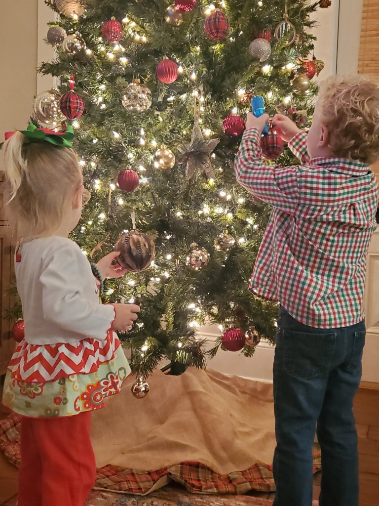 Grey and Harlow decking the halls